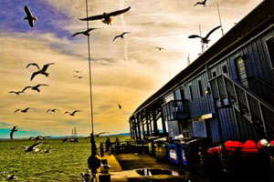 网站攻击软件工具